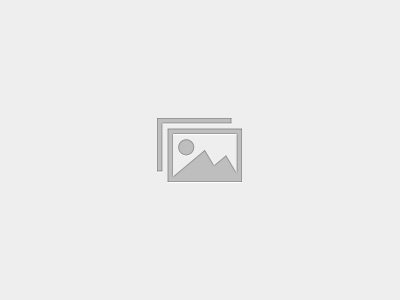 Sustainability Reporting Essentials – EN